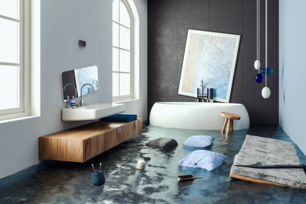 Best Carpet water damage restoration  in Lake Camelot, IL