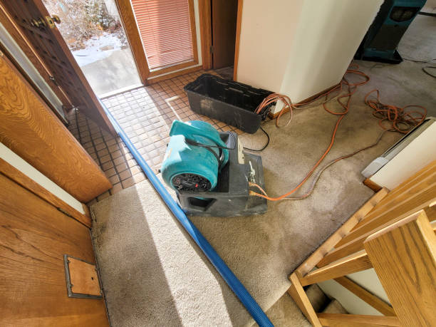 Best Mold removal after water damage  in Lake Camelot, IL