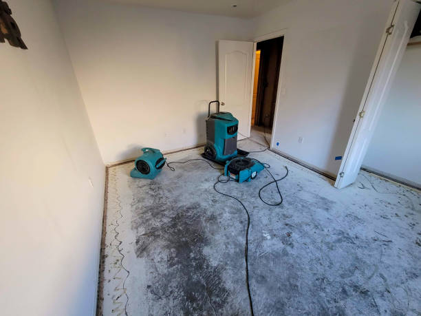 Water damage restoration mold remediation in IL