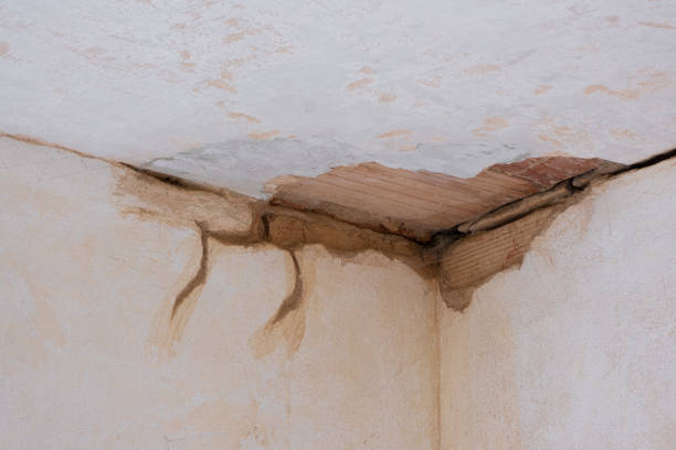 Best Flood restoration services  in Lake Camelot, IL