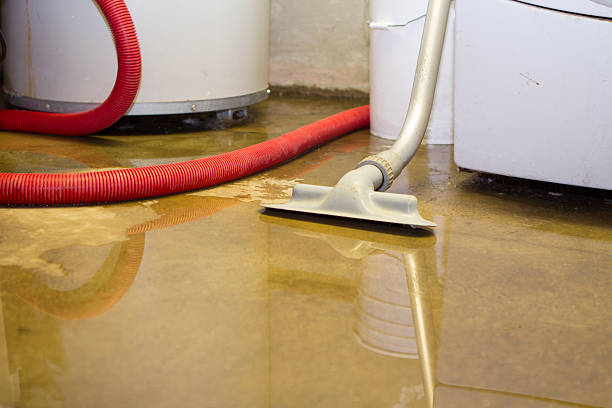 Best Professional water damage repair  in Lake Camelot, IL