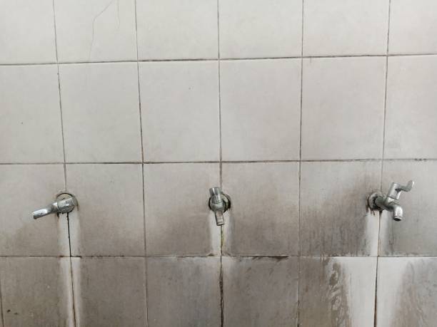Best Flood damage cleanup  in Lake Camelot, IL
