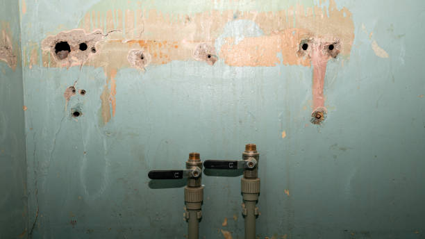 Best Emergency water damage restoration  in Lake Camelot, IL
