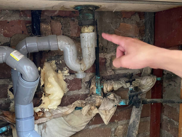 Best Water damage restoration near me  in Lake Camelot, IL